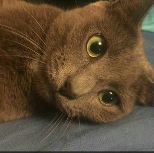 Meet your Posher, Avey